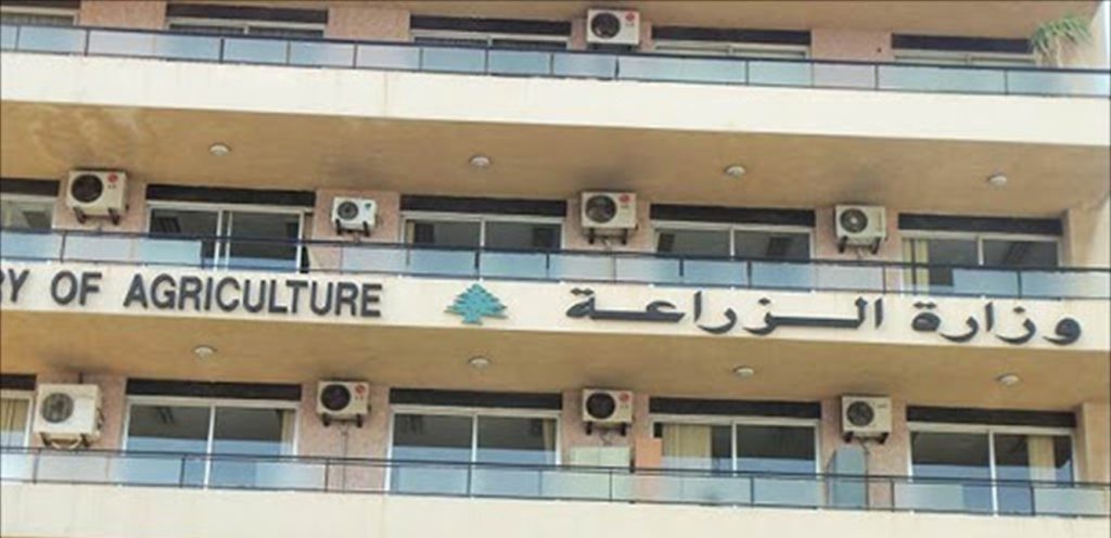 الزراعة: حملة مشتركة للوزارة وأمن الدولة على أسواق الجملة لمكافحة التهريب